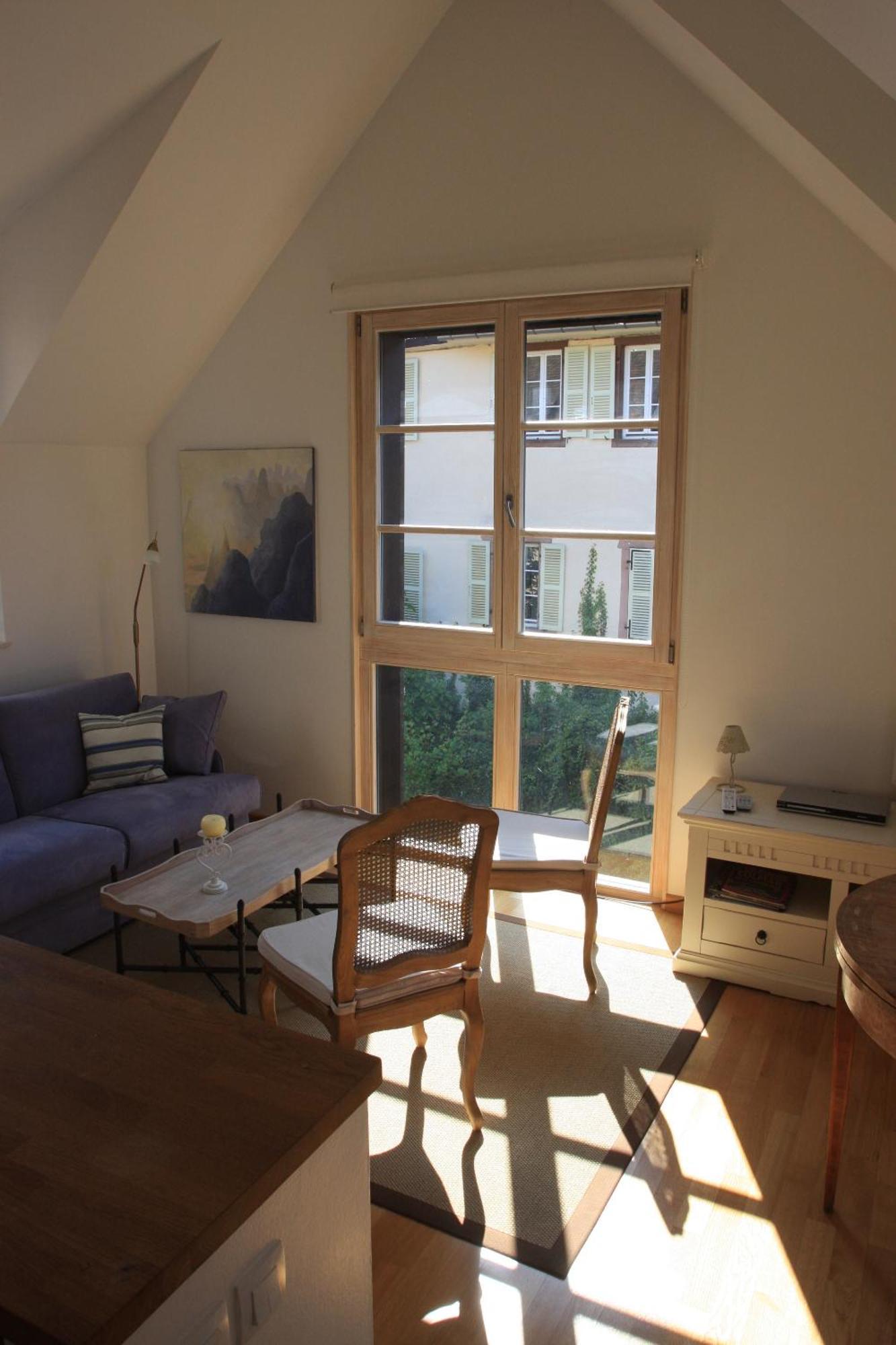 Petite Venise Apartment Colmar Exterior photo