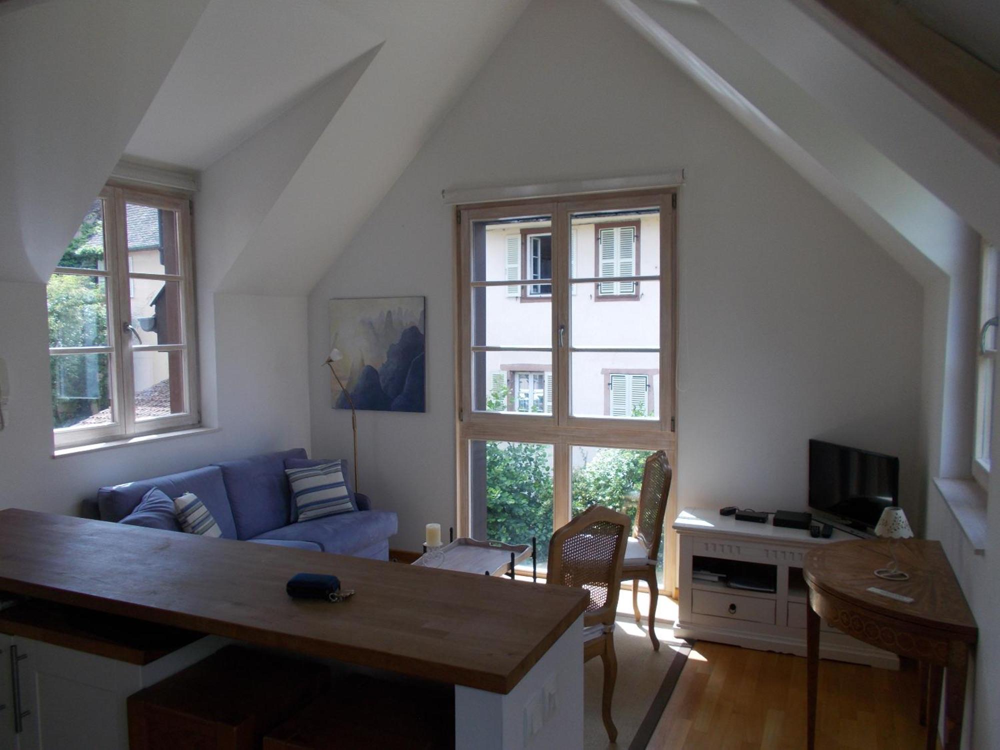 Petite Venise Apartment Colmar Exterior photo